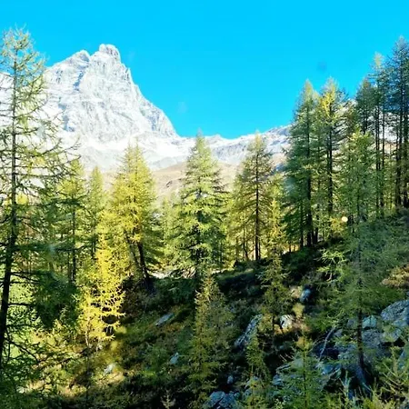 Rox Cervinia Apartment شقة